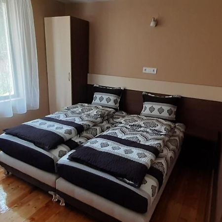 Apartament Geto - 2 Comfort Belogradcsik Kültér fotó